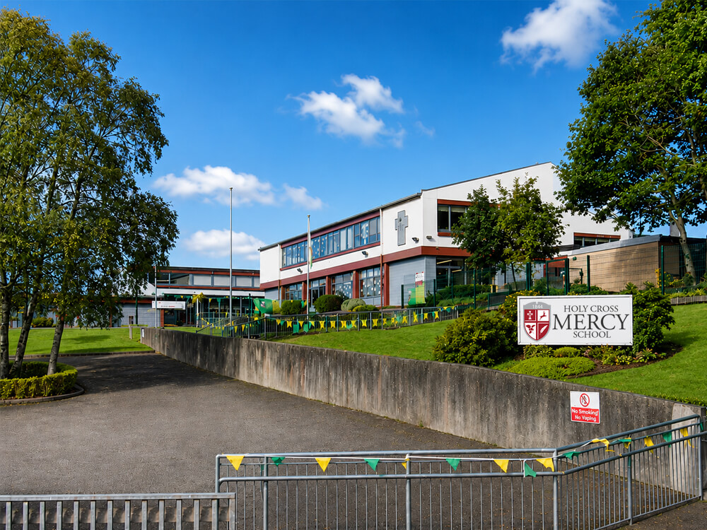 Primary School Survey