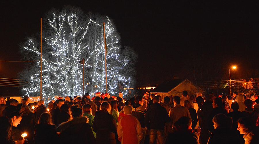 Killarney Memory Tree Launch